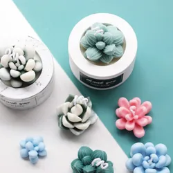 Moule en silicone pour succulentes, plante, marijuana, bougie, gâteau har ant, cuisson au chocolat, poêle à bougie, moule en résine, bricolage