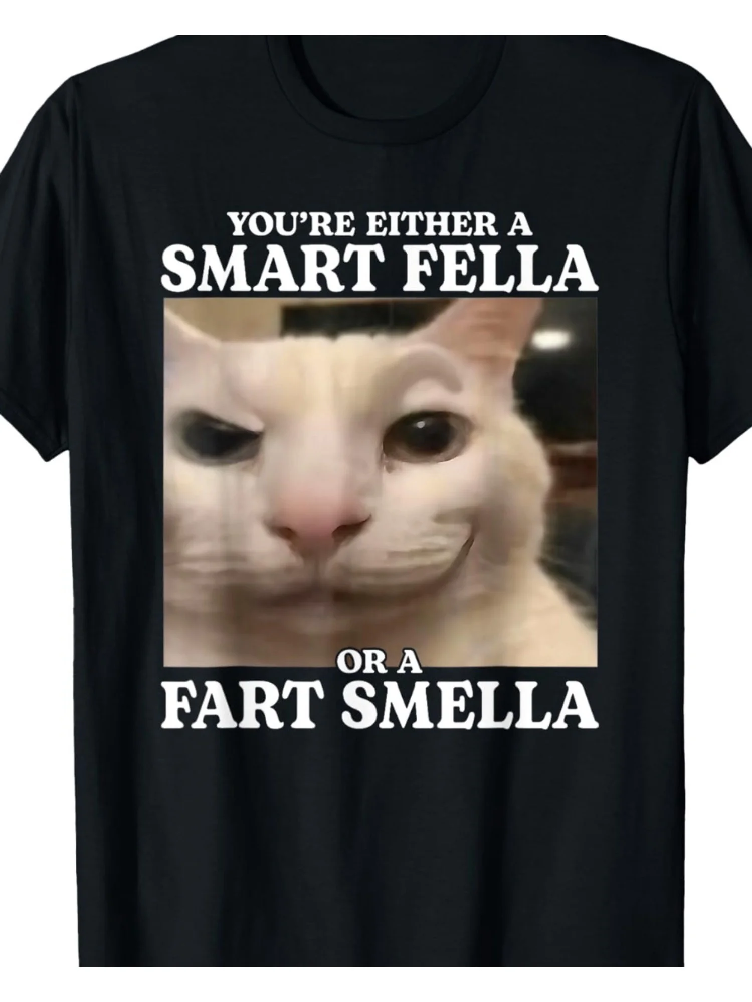 Fun Meme T-shirt: A smart young man with a fart pattern, featuring a lively cat design, soft and breathable short-sleeved shirt