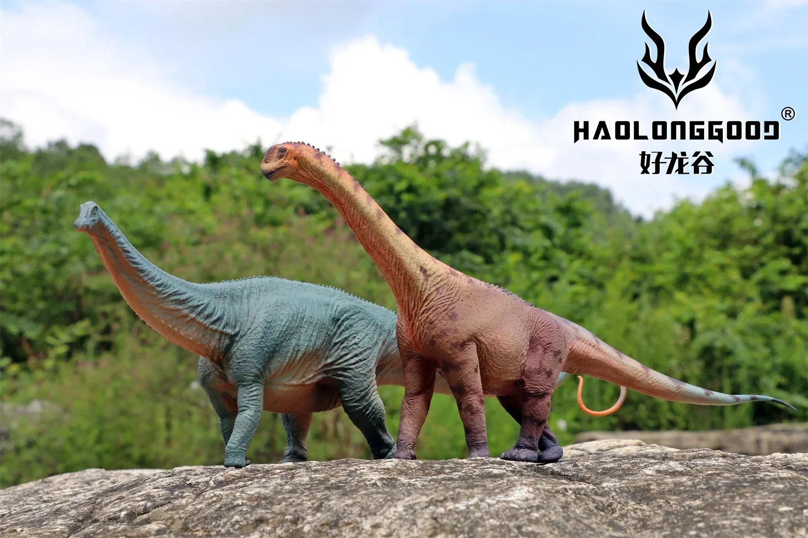 

HAOLONGGOOD 1:35 Scale Camarasaurus Model Sauropod Dinosaur Animal Collection GK Scene Desk Decoration Birthday Gift