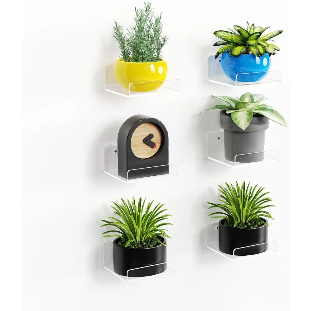 6 Pack Acrylic Smal… - image