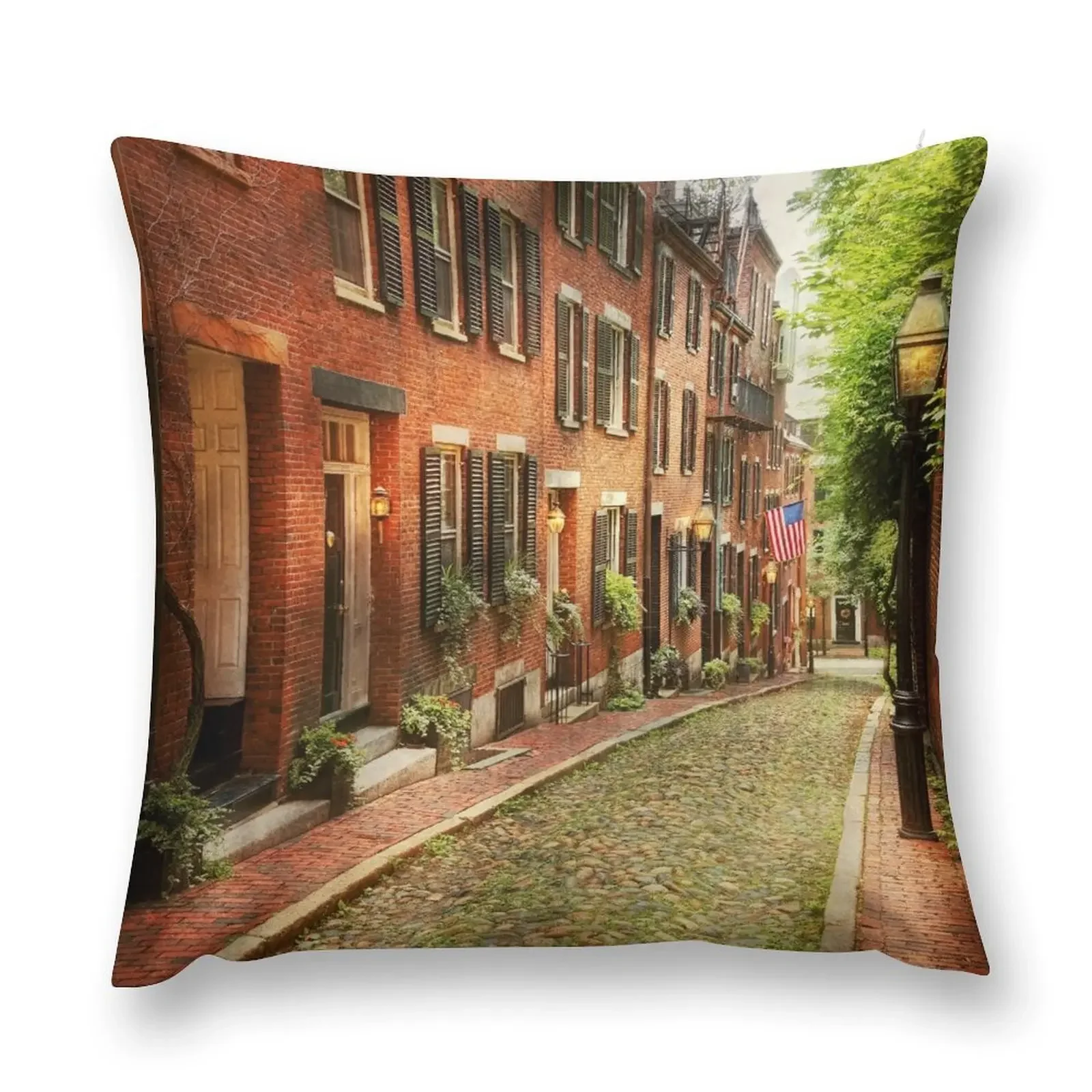 City - Boston MA - Acorn Street Throw Pillow Luxury Cushion Cover Luxury Living Room Decorative Cushions pillow