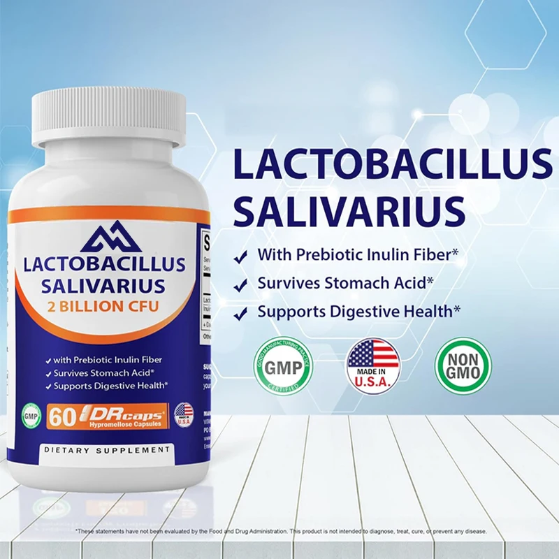 Vitamin Lactobacillus 2 billion -60 DR capsules per capsule - Digestive support made from prebiotic inulin fiber (1 bottle)