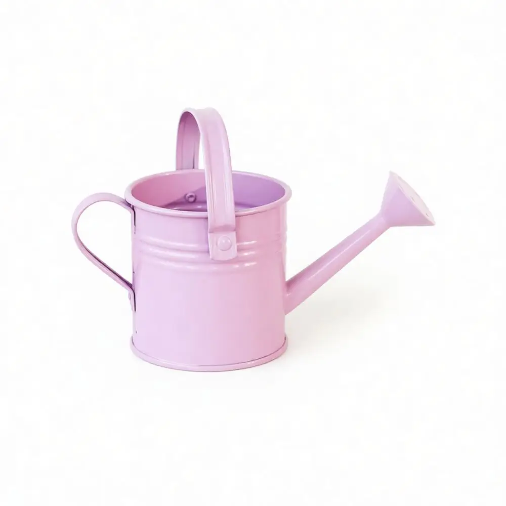 Decorative Mini Iron Watering Pot Flower Planter Creative Garden Tool Candy Color Succulent Holder Home Desktop Decor Vase