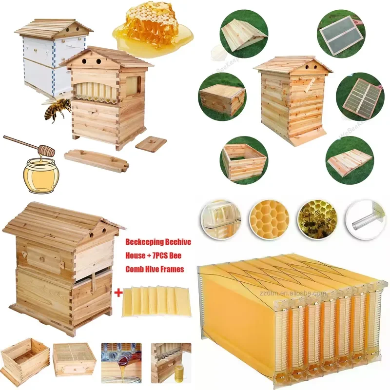 Recycling Machine 2026 New Full Set 7PCS Automatic Self-Flowing Complete Honey Beehive Frames & Boxes Chinese Fir Wood