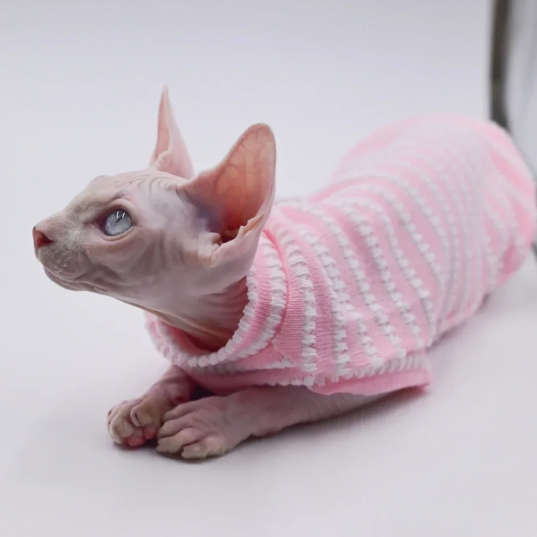 Sphynx ropa cómoda y transpirable para gatos, ropa de primavera y verano para gatos sin pelo, Alex Rex,Cornish,Peterbald