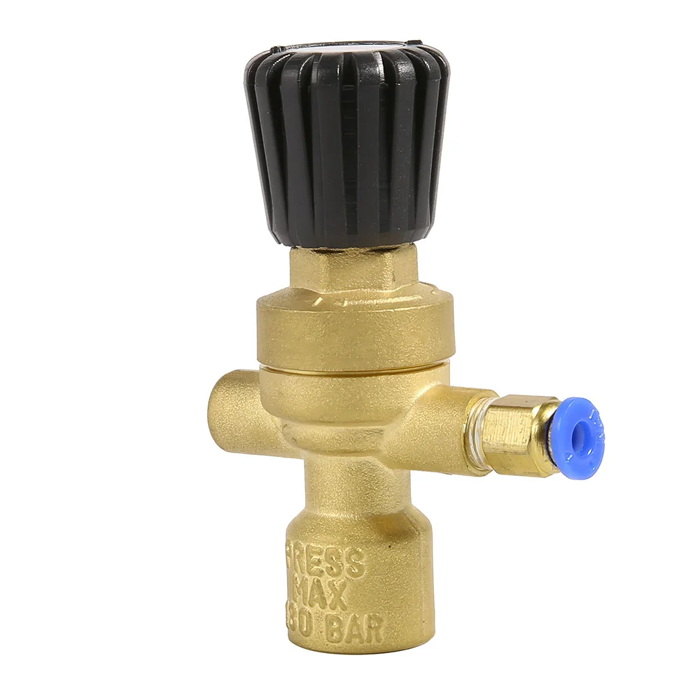 Mini Gas Bottle Pressure Regulator 36V 220V Pressure Reducer Pressure Meter Beer Regulator for Argon CO2 Bottle