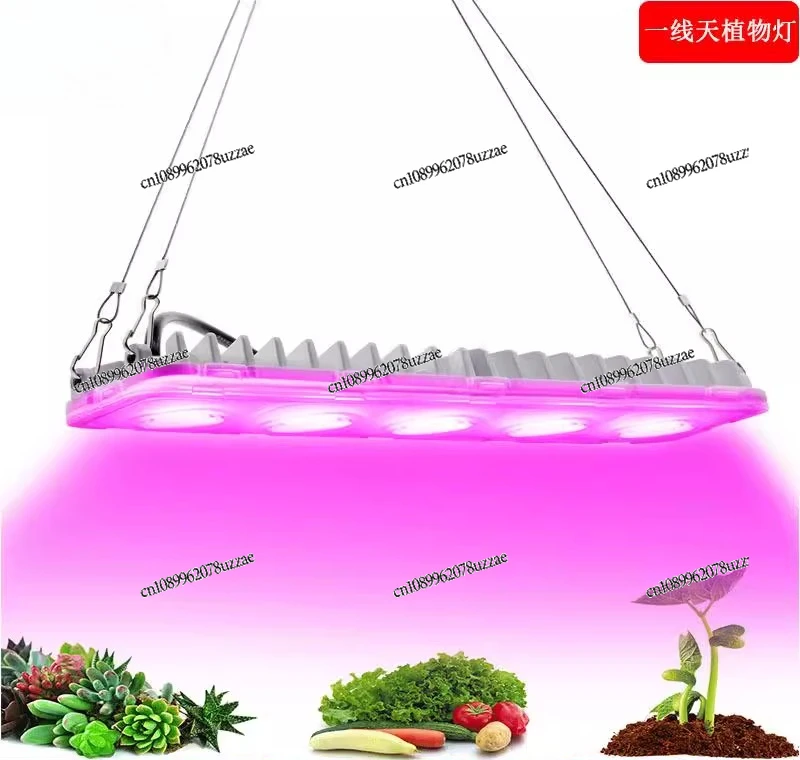 LED Grow Light Grow Light Full Spectrum 50W Plant Light