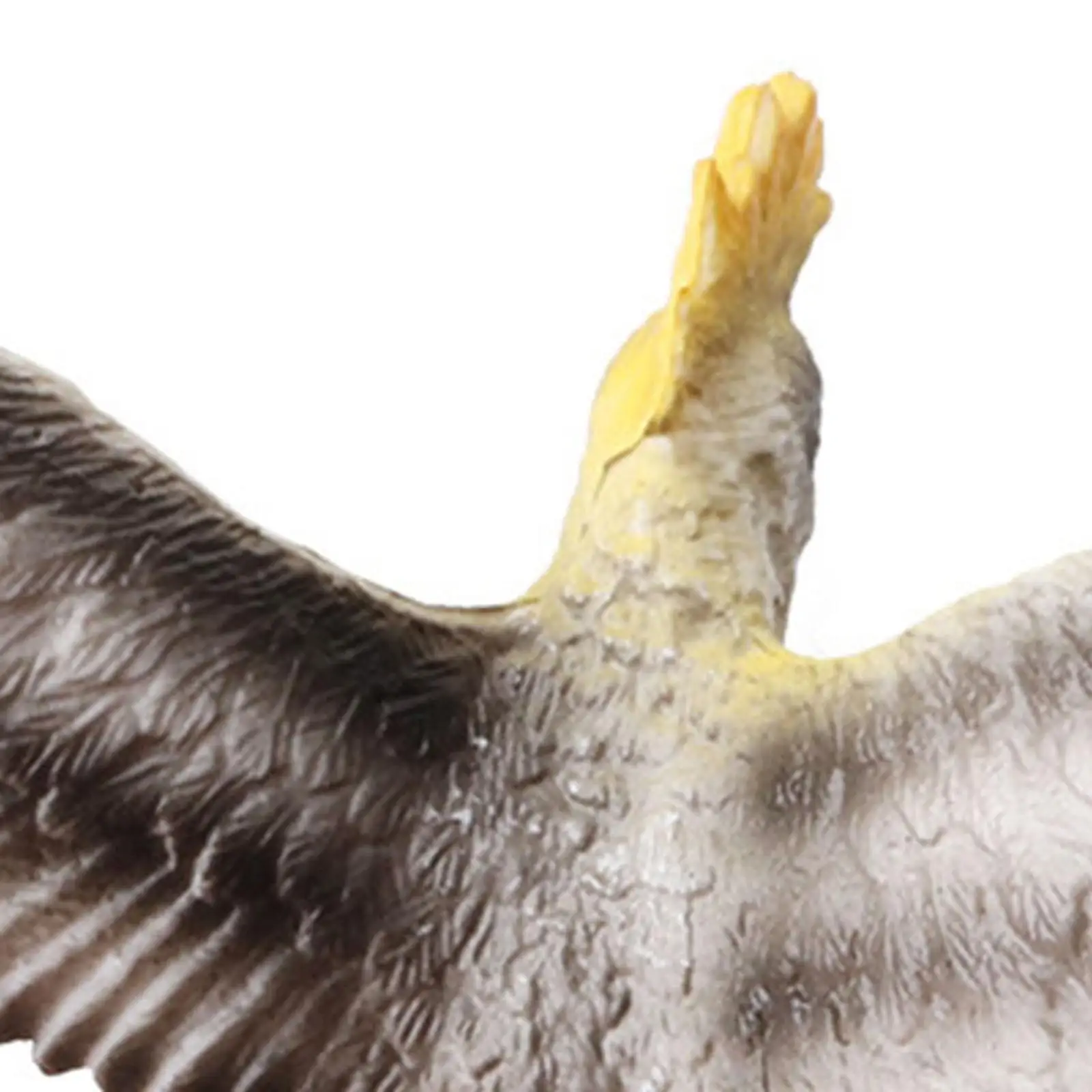 โมเดลสัตว์เหมือนจริง 4x12 ชิ้นสำหรับของเล่นเพื่อการศึกษา ของสะสม ของชำร่วยงานปาร์ตี้