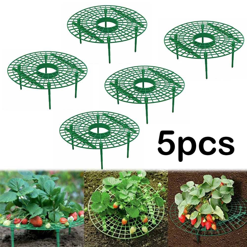 Strawberry Supports Keep Berries Clean Keeping Plant Fruit Stand Strawberry Growing Frame for Protecting Strawberries