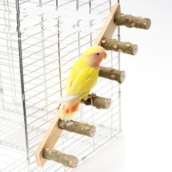 Spiky Natural Wood Pet Parrot Raw Wood Fork Tree Branch Stand Rack Squirrel Bird Hamster Branch Perches Chew Bite Toys Stick