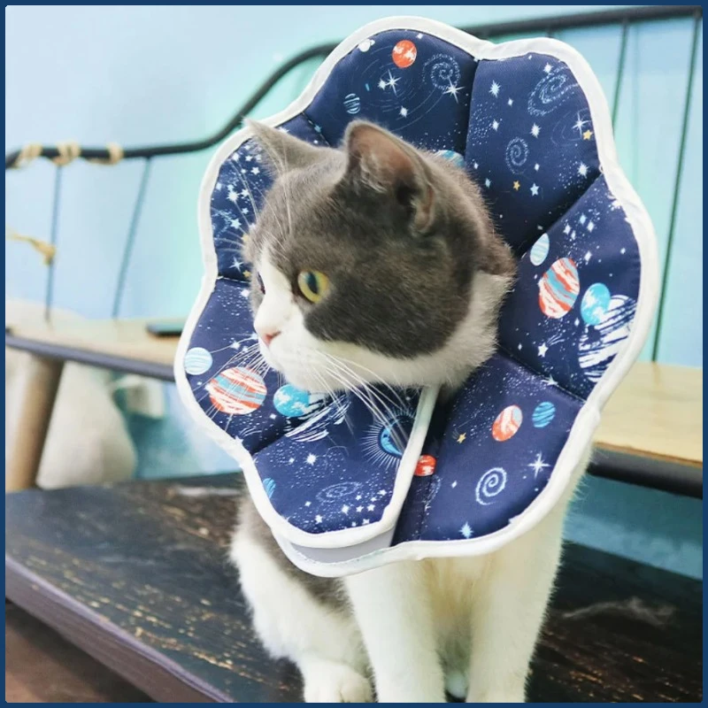 

Pets Puppy Taper Collar Soft Cat Cone Elizabethan Collar For Dogs Cats Protective Recovery Cone For Dogs And Kitten Post Surgery