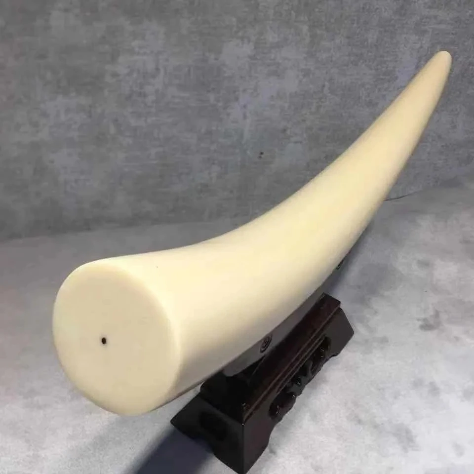 Genuine Mammoth Ivory Base Dental Decoration High-End Decoration Living Room Porch Housewarming Decoration Gift