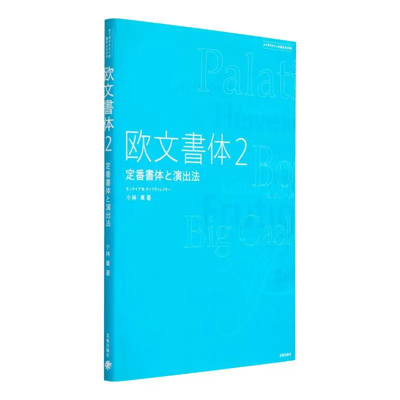 European Typefaces 2 Standard Typefaces And How To Perform Akira Kobayashi Art Publishing Company 9784568503647 Book