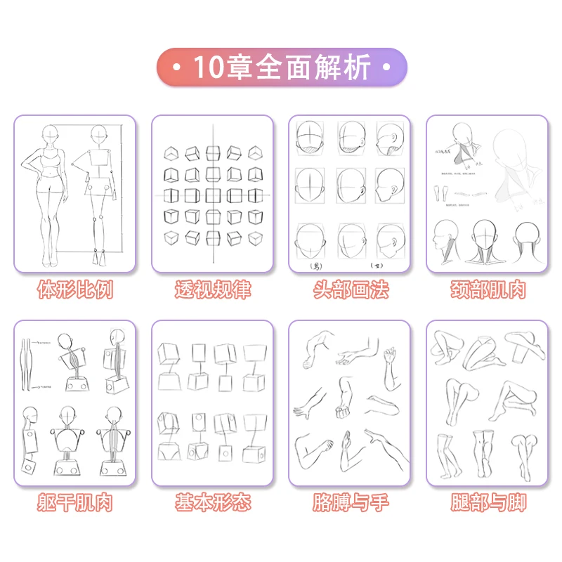 كتاب تعليمي لرسم شخصيات الرسوم المتحركة المرسومة يدويًا - هيكل نسخة جسم الإنسان وممارسة رسم الخط #3