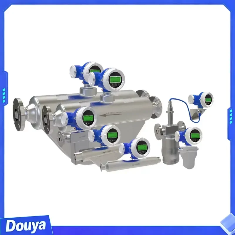 RKS 3200 Coriolis Mass Flowmeter High-Precision CNG LNG GLM Mass Flow Sensors Coriolis Flowmeter Customized OEM