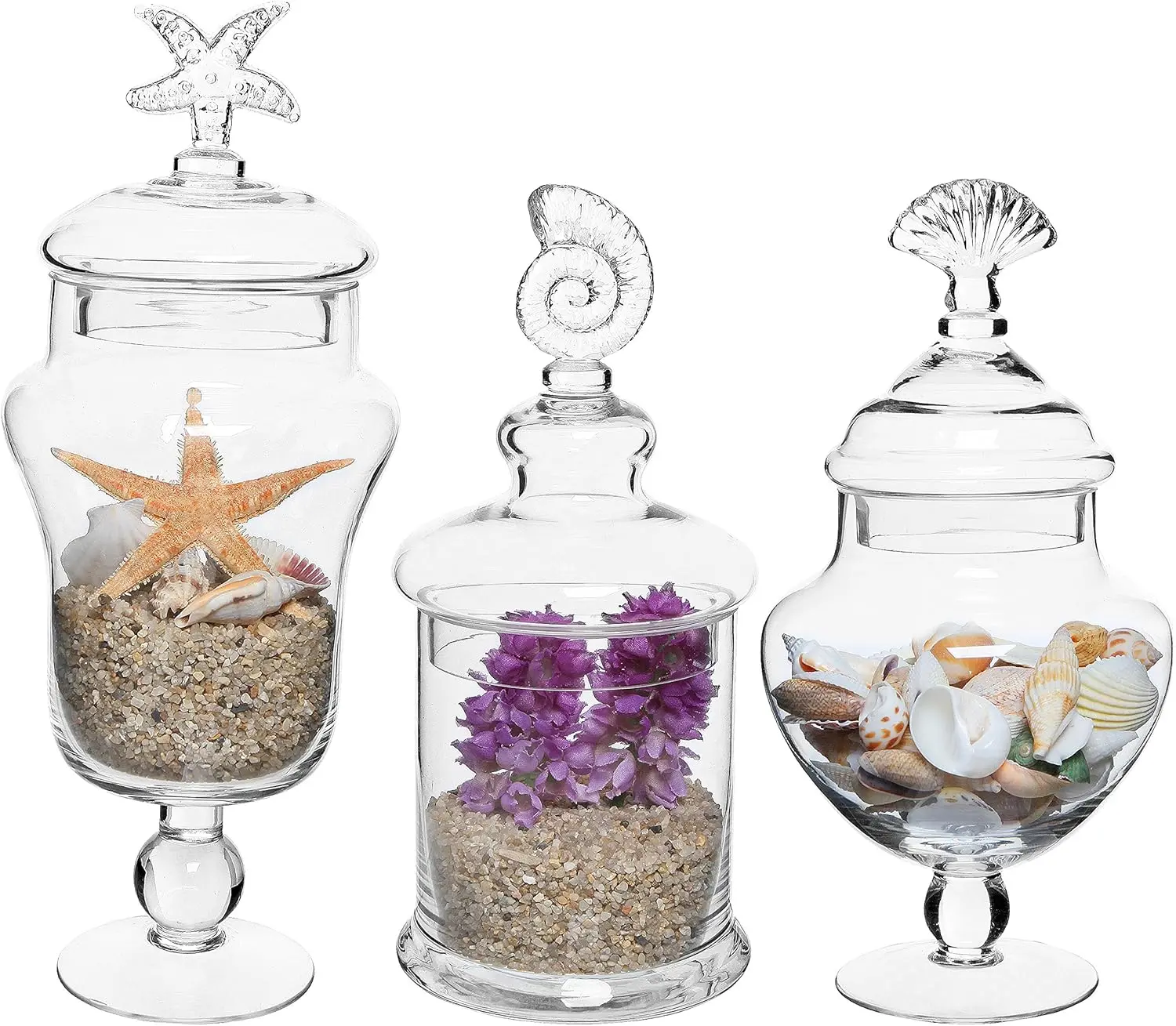 

Clear Glass Apothecary Jars with Seashell Lids, Set of 3 for Bathroom or Candy Storage