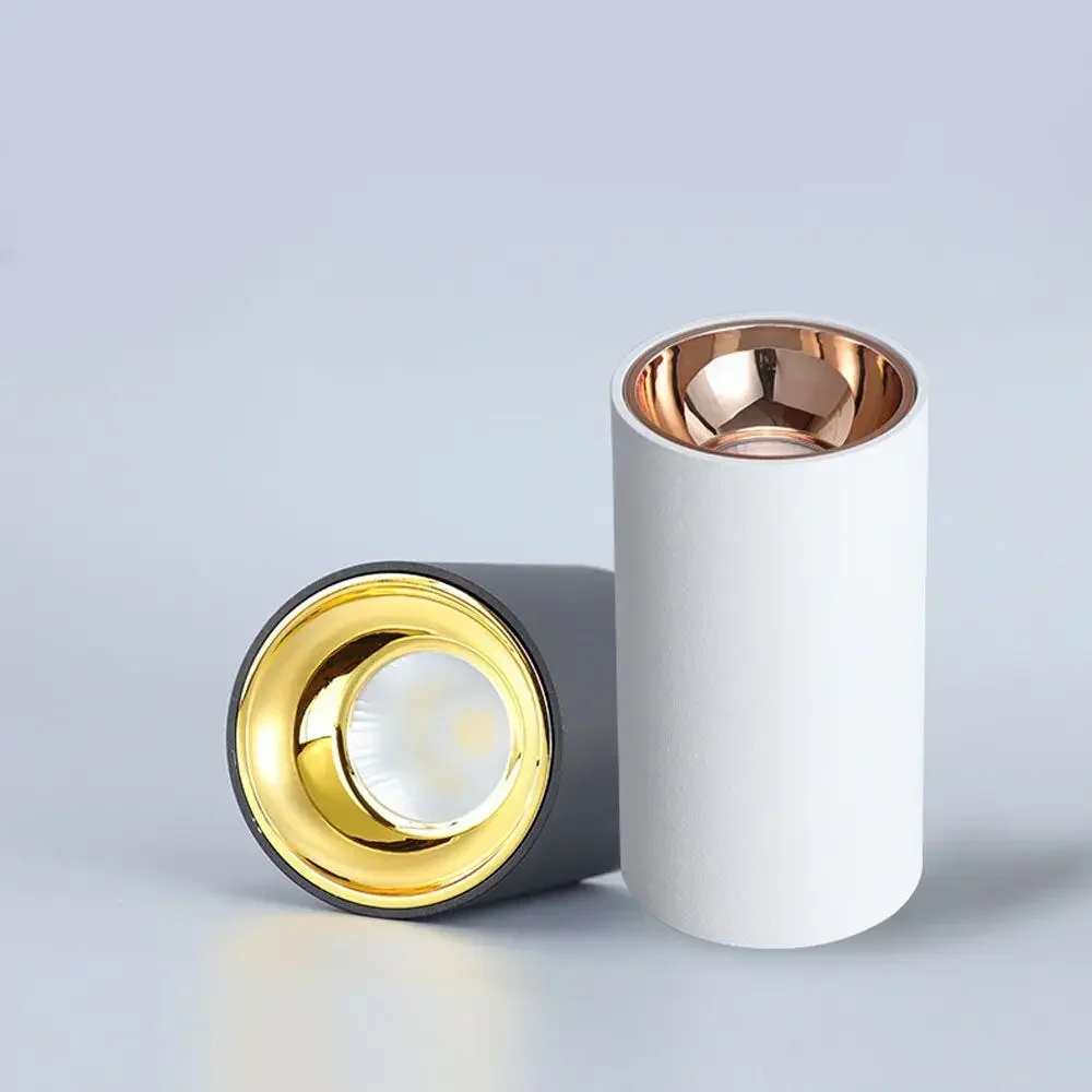 Dimmable LED Ceiling lights Cylinder Livingroom Kitchen Bedroom Foyer Offcer Rose Gold 5W 10W 15W 20W Ceiling lamp