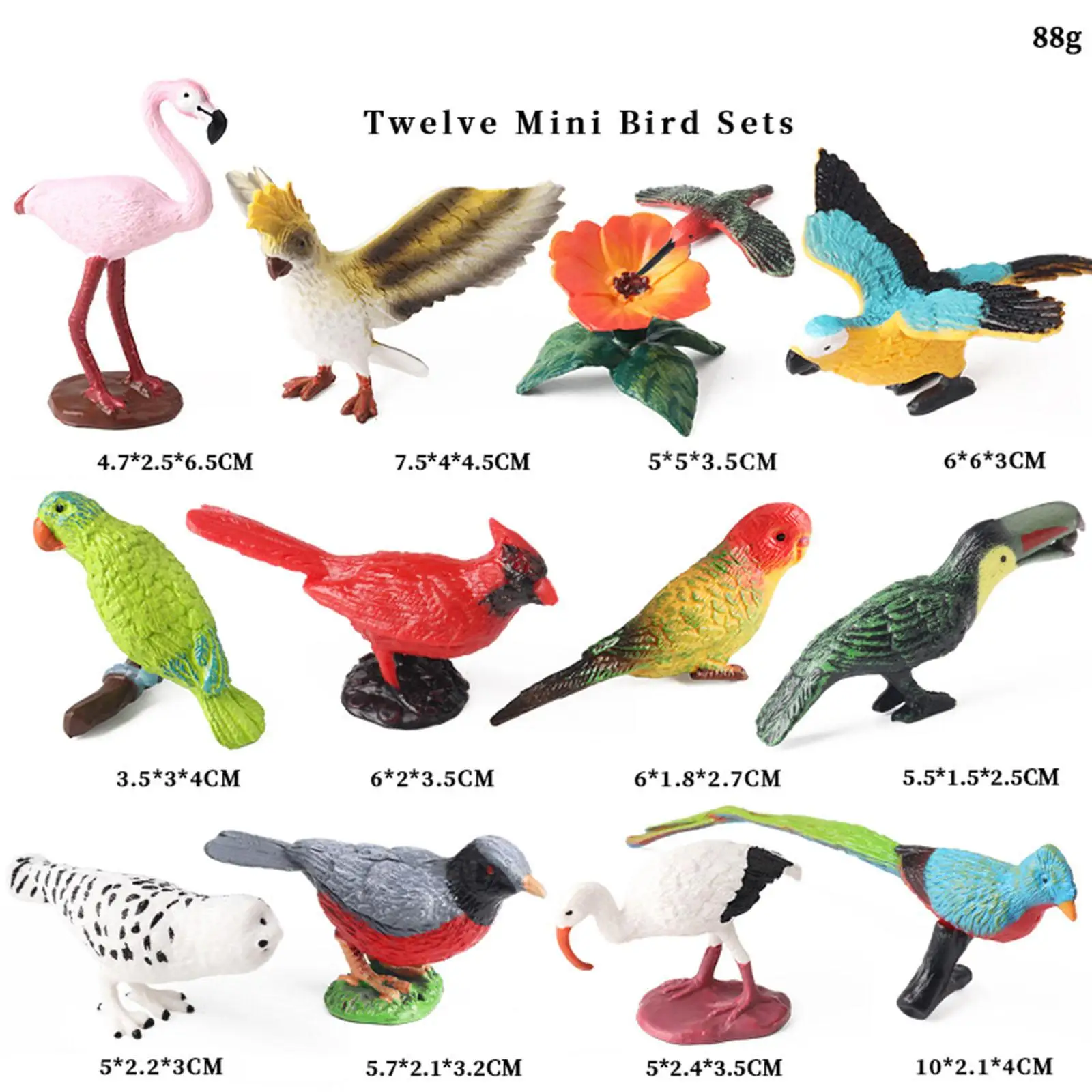 12 figurine di uccelli in miniatura modello animale realistico set di simulazione in miniatura