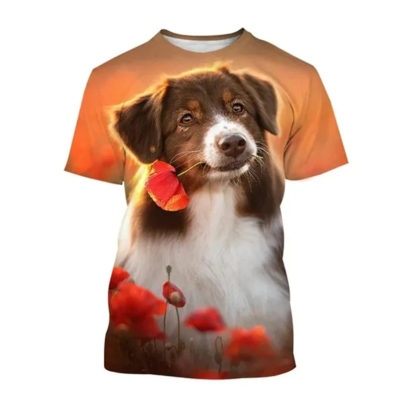 Australian Shepherd Dog 3D Print T-Shirts Streetwear Men Women Fashion Oversized Short Sleeve T Shirt Kids Tees Tops Clothing