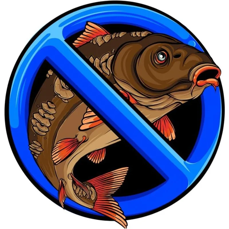 1pc No Catfish Graphic Vinyl Sticker, Waterproof Decal for Motorcycle, Car, Helmet & Camper Trunk