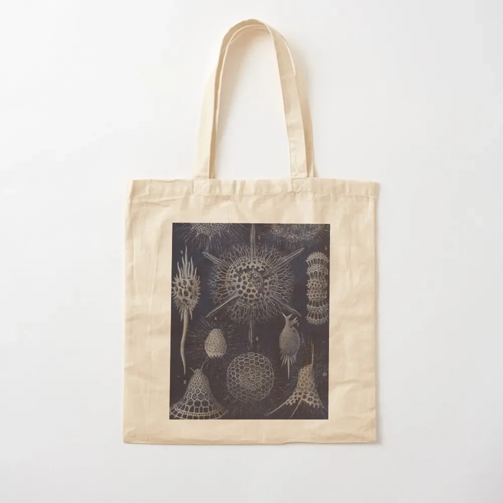 

Vintage Radiolaria Fossils Tote Bag personalized tote Handbags Tote Bag