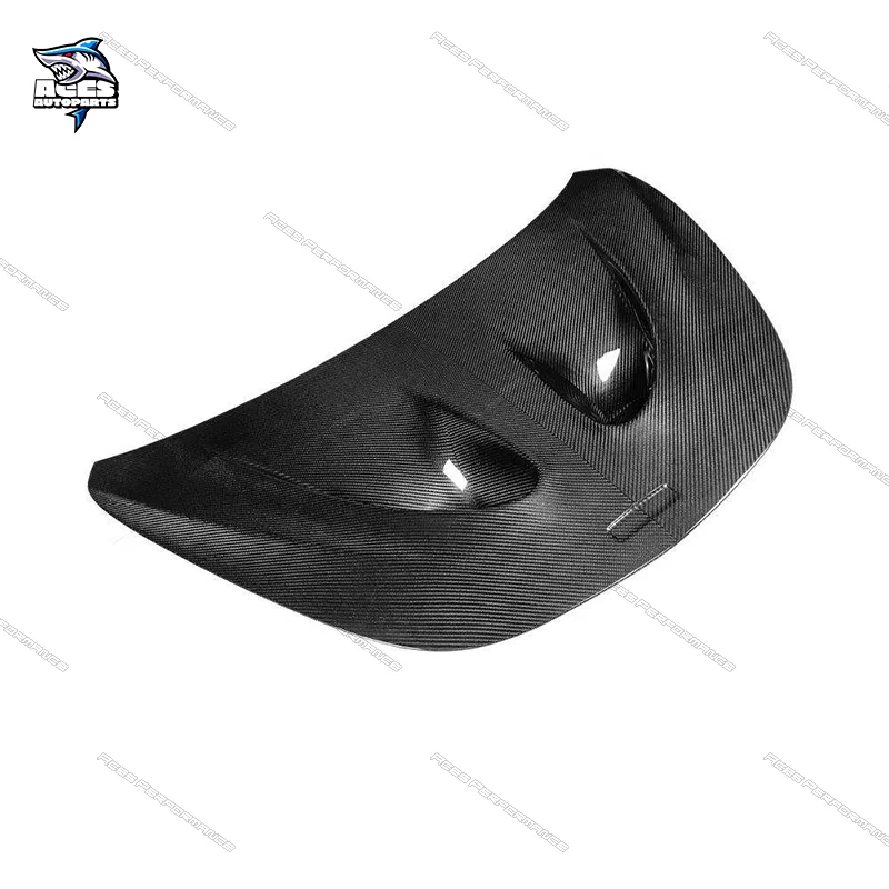 Dry Carbon Fiber P1… - image