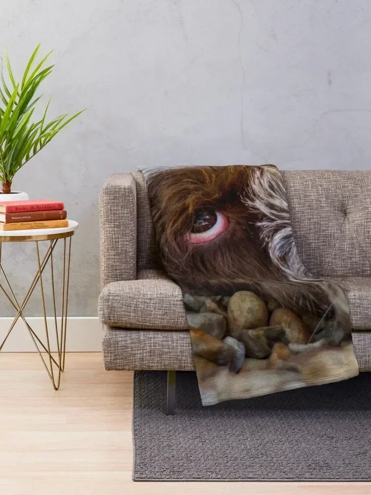 Looking up Spinone Throw Blanket Polar Sofa Blankets