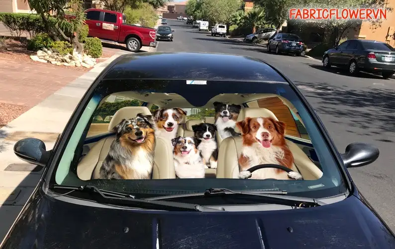 Australian Shepherd Car Sunshade, Shepherd Car Decoration, Dog Windshield, Dog Lovers Gift, Dog Car Sunshade, Gift For Mom, Gift