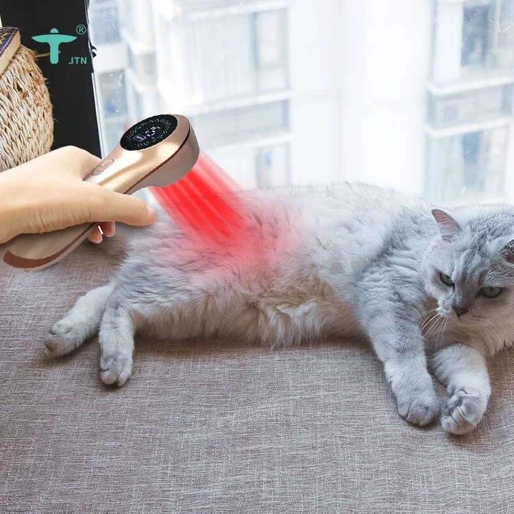 2024 best selling Home Use Medical Portable Handheld Pain Relief Device 650nm 808nm Cold Laser Therapy For Pain Machine