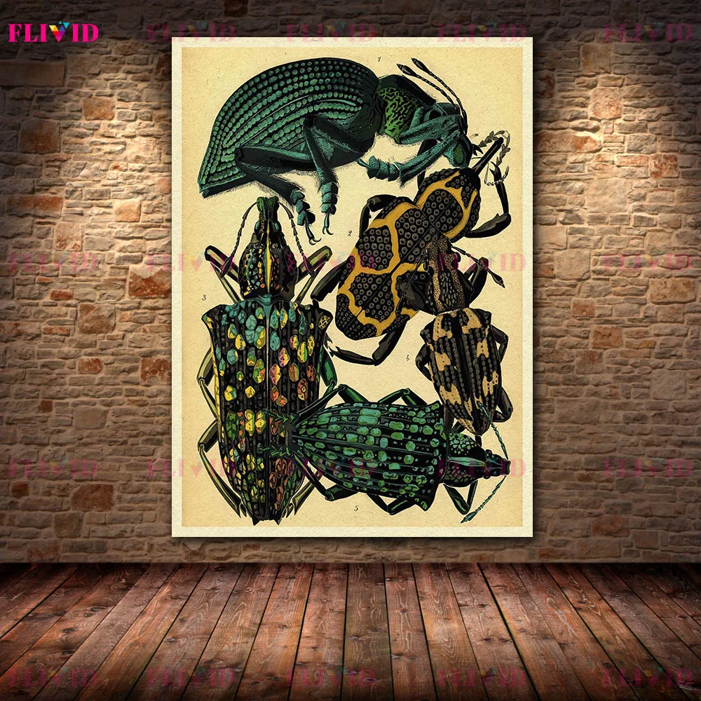 Vintage Entomology Butterfly & Beetle Canvas Poster Print, Victorian Natural History Wall Art, Antique Insect Illustration Decor