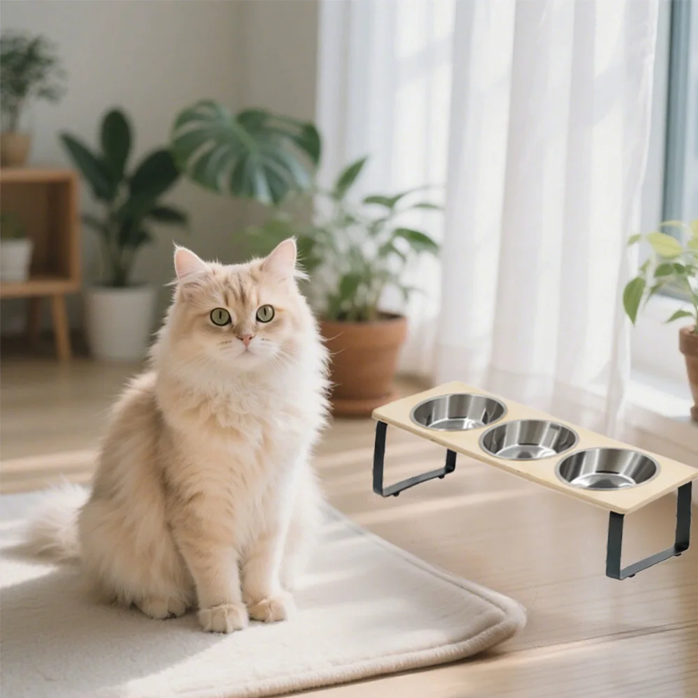 

Elevated Cat Bowls with 3 Stainless Steel Bowls 15° Tilted Anti-Vomiting Raised Cat Food Bowl for Small Cats and Puppies