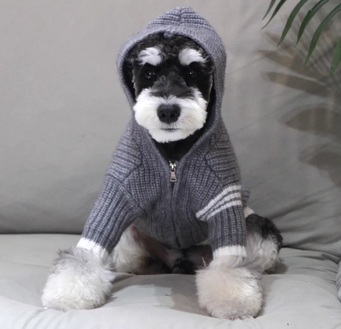 

English Gentleman-Style Grey Striped Navy Blue Pet Sweater Knitted Dog Coat