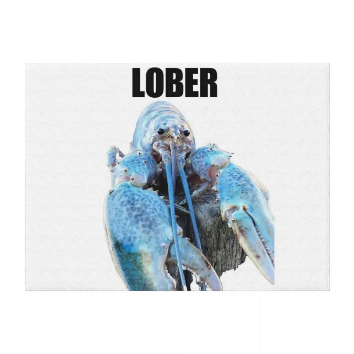 

Lober (Blue lobster meme) Throw Blanket Large Furry Stuffeds Blankets