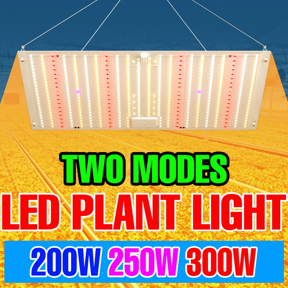 

300W Full Spectrum LED Grow Light 100-277V Quantum Board Plant Cultivation Lamp Greenhouse Tent Vegs Moss Potted Fill Lighting