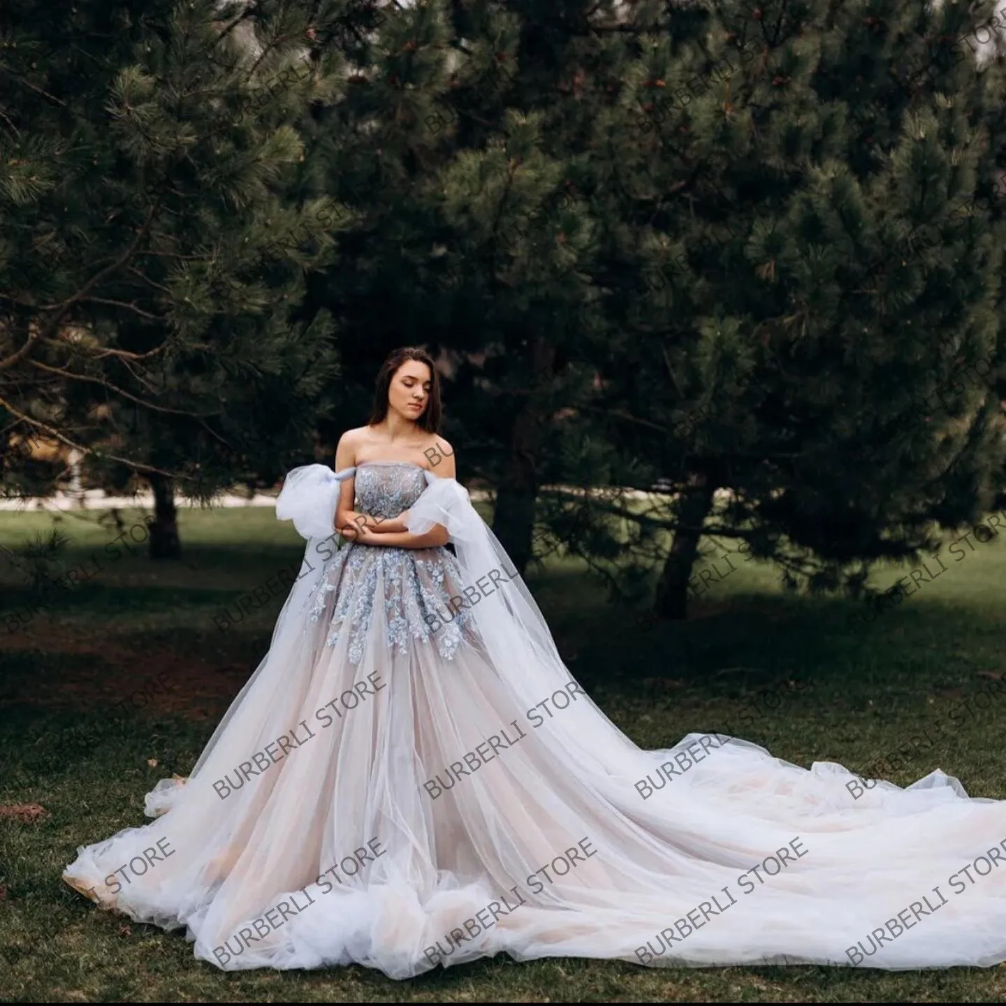 Luxury Puffy Mesh Prom Dresses With Long Train Off The Shoulder Appliques Tulle Formal Party Gowns Elegant A Line Evening Dress