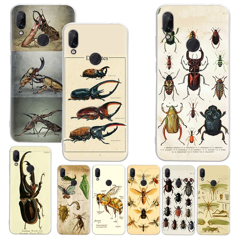 Bugs Bees Scientific Decomposition Case for Xiaomi Redmi 12 12C 10 10A 10C 9 9A 9C 9T Phone Shell 8 8A 7 7A 6 Pro 6A S2 K70 K60