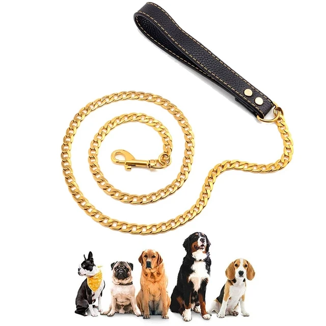 Gold dog leashes best sale