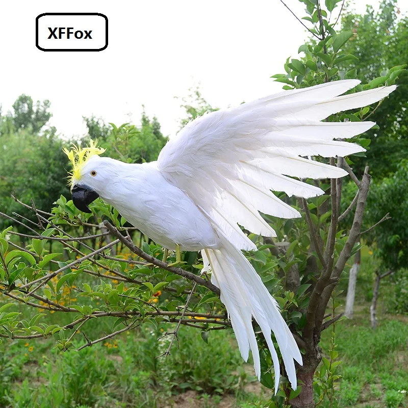 big real life wings parrot model foam&feather white parrot gift about 42x60cm d0196