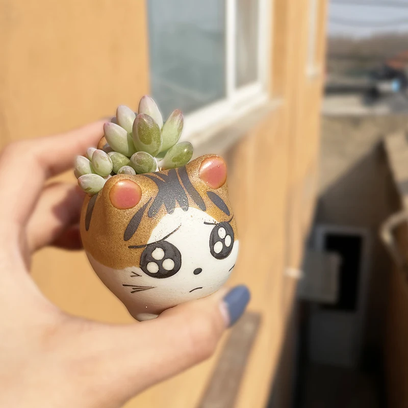 Ceramic Cat Succulents Flower Pot Cute Cartoon Mini Animal Planter Bonsai Cactus Plant Pots Desktop Decor Creative Gift