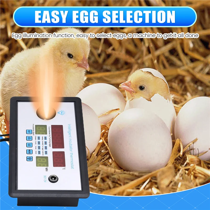 A42Z-W9002 Automatic Egg Turning Intelligent Incubation Thermostat DC12V Home Waterbed Incubator Incubator