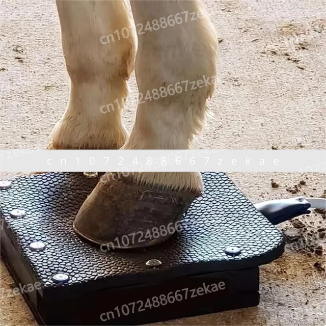 

PMST Magnetic Device Horses Animals Magneto Therapy Handles Equine Pain Relief