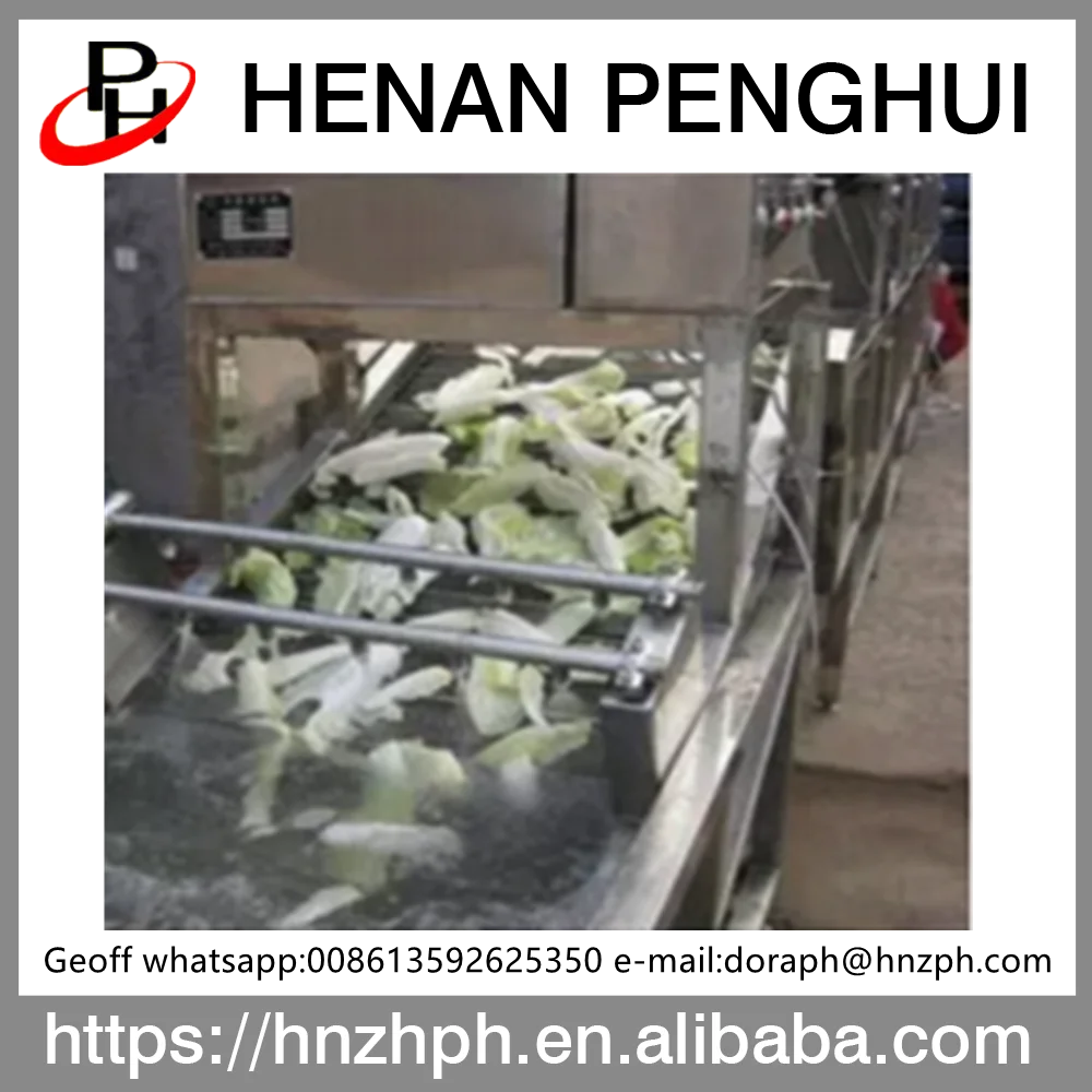 High Quality Industrial Fruit and vegetable Washing Machine Price