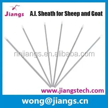 Semen sheath for goat artificial insemination