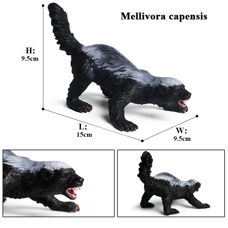 Oenux محاكاة جديد الحيوانات البرية التماثيل العسل الغرير Mellivora Capensis نموذج عمل أرقام الاطفال التعليم هدية لعبة