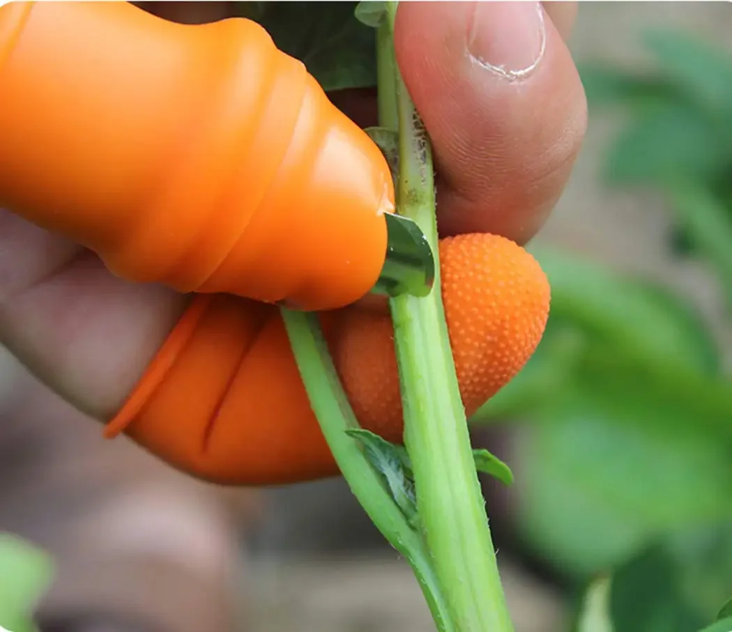 Silicone Thumb Harvest Knife Set 3