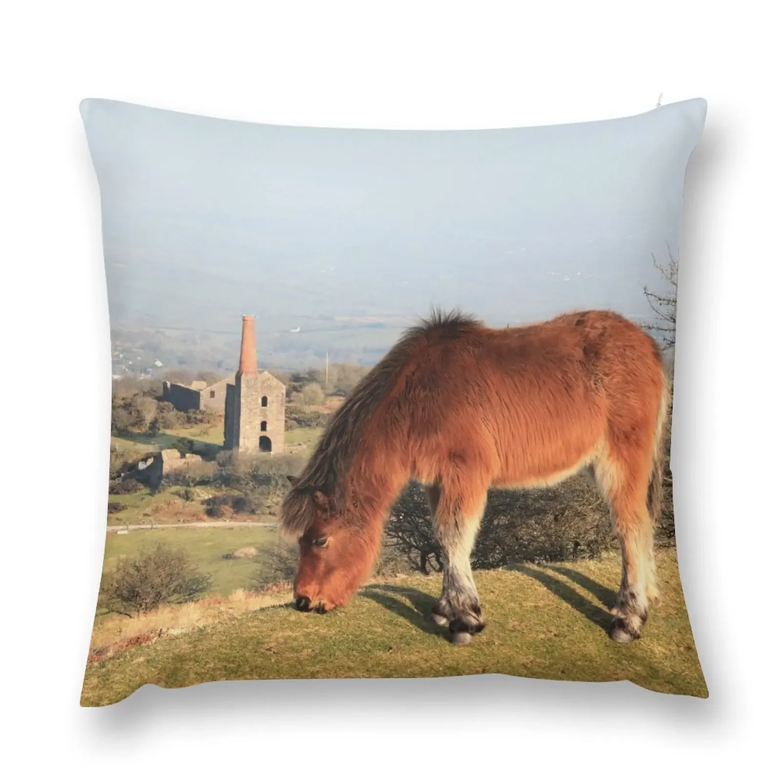 Pony on Bodmin Moor Throw Pillow Cushion Cover Pillowcase Cushion Sofa Decorative Covers christmas cushions covers pillow