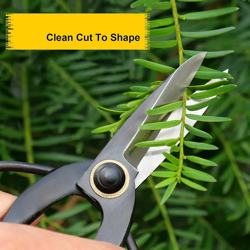 Professional Bonsai Scissors 7.3\