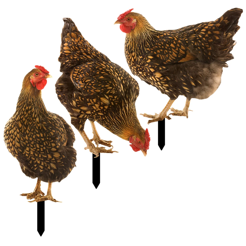 

3 Pcs Simulated Hen Decoration Durable Acrylic Garden Stakes Chicken Ornament Yard Animals Decorative Farm Lawn Insert Outdoor