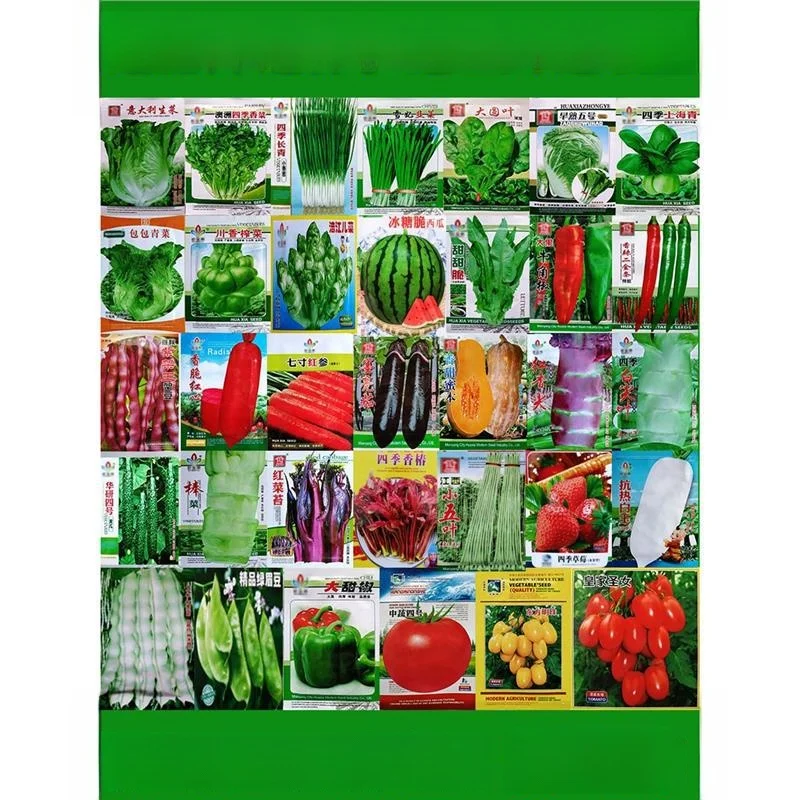 Cseta de Manga Corta para Mujer, Estilo Informal, para Cultivo en Balcón, con Estampado de Semillas de Verduras para Todas...