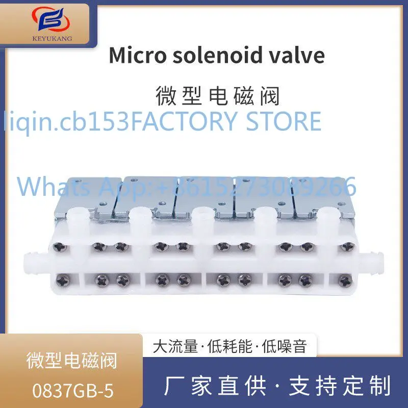 KYK0837GB-5 Micro Solenoid Valve Vegetable Cooker Water Valve, Air Cushion Bed Massager DC Mini Deflation